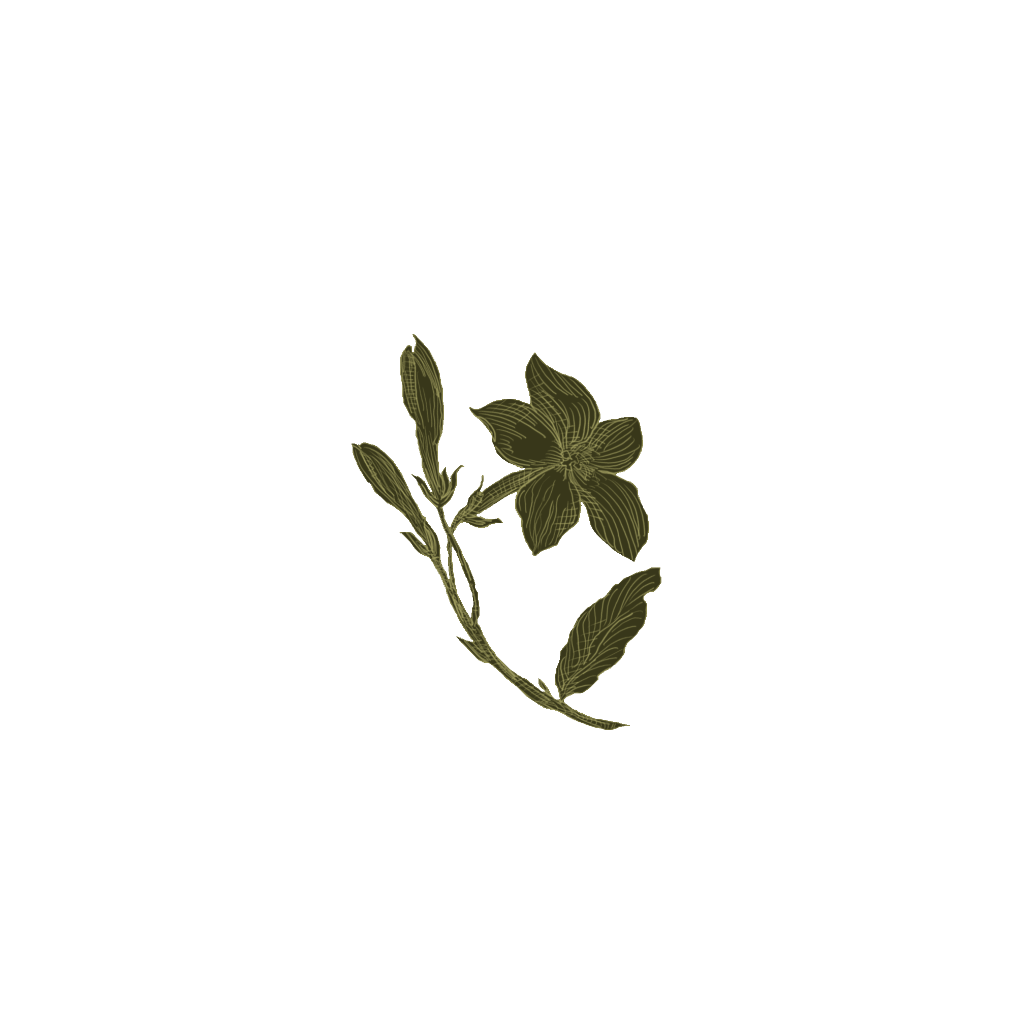 Flower Art