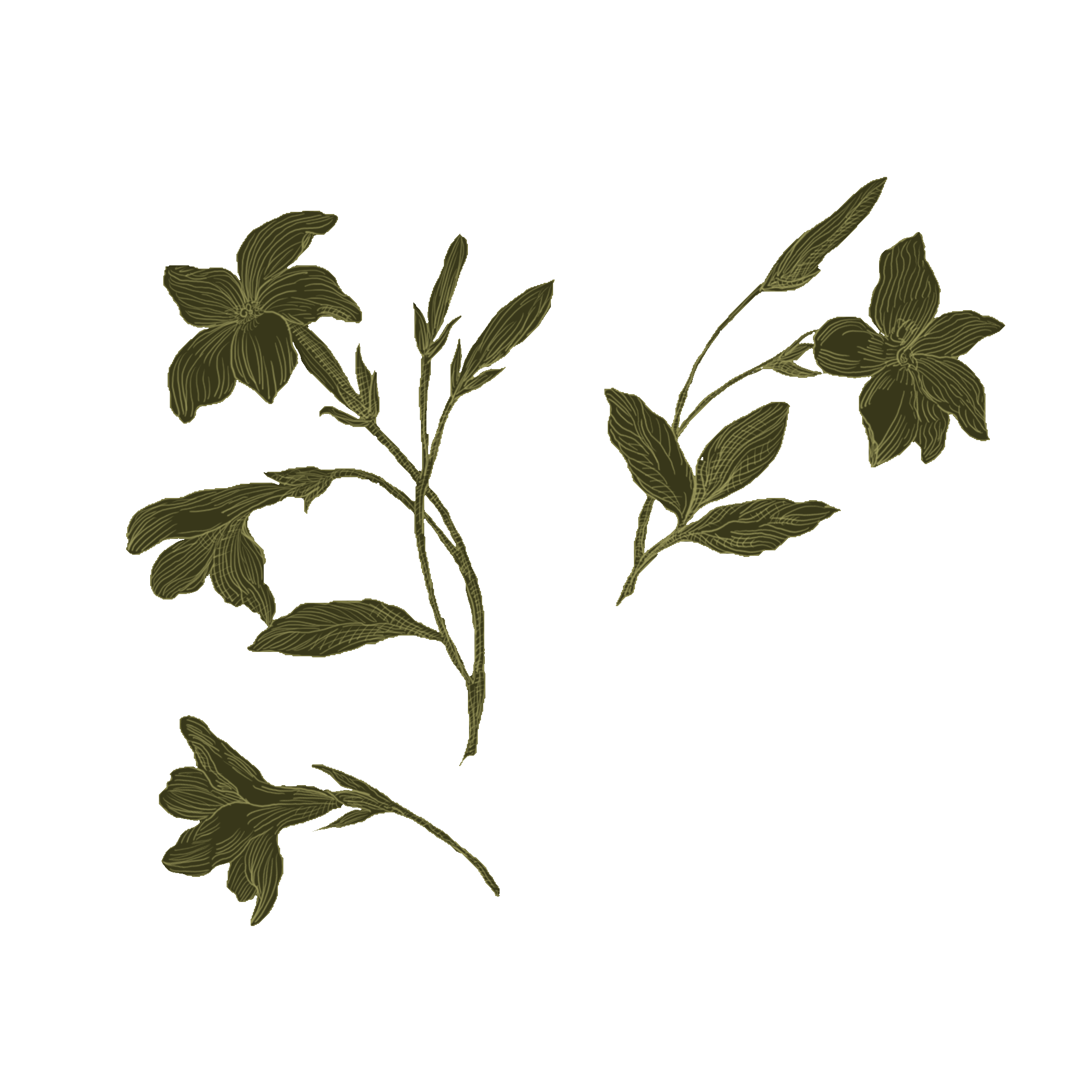 Sixpence Exterior Drawing