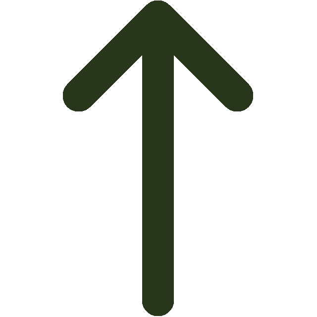 Arrow Up