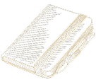 Corporate event icon